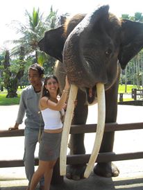 Bali Rêve