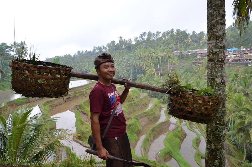Bali Rêve