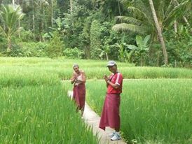 Bali Rêve