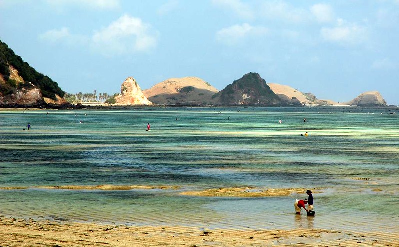 Festival Bau Nyale à Lombok : les vers de mer à l'honneur !