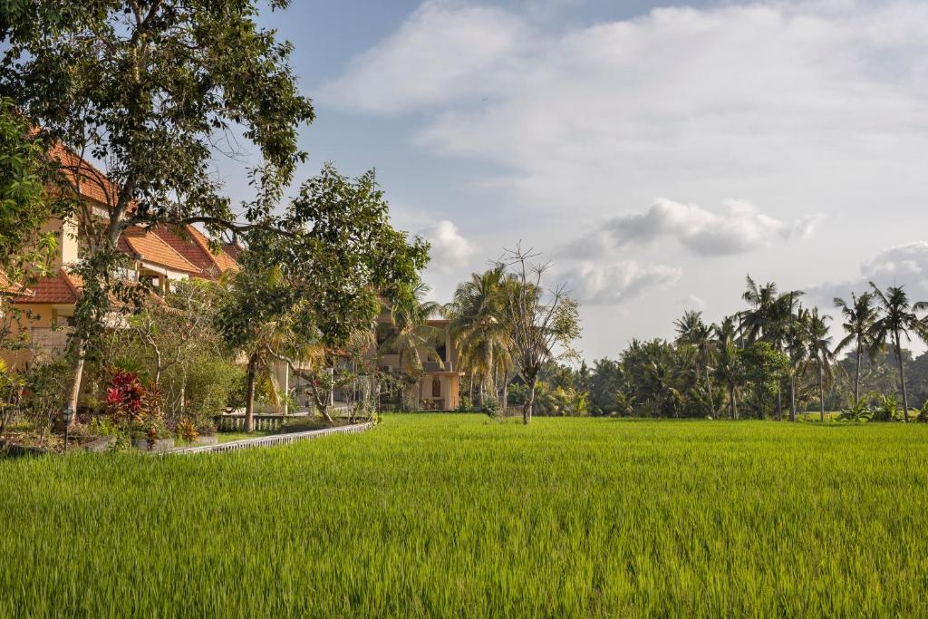 Green Field Hotel Ubud