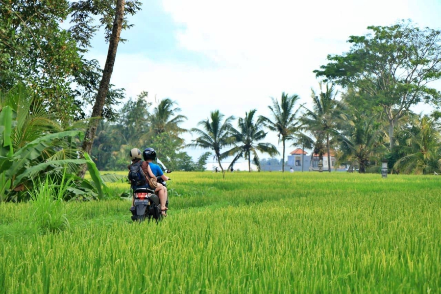 Louer un scooter à Bali