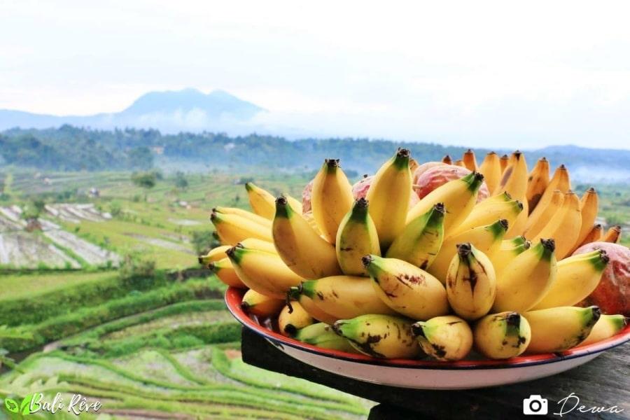 Les plus belles rizières de Bali