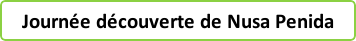 découverte nusa penida