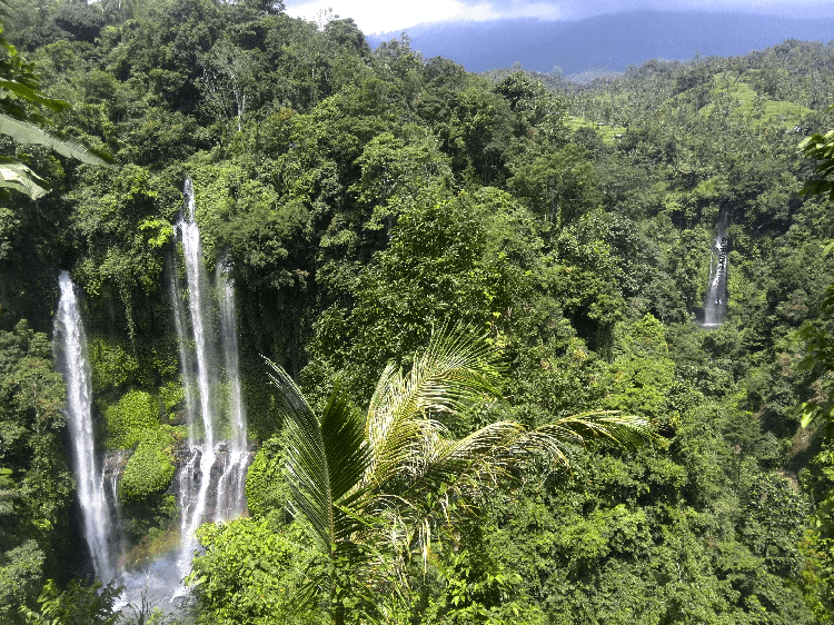 Cascades de Sekumpul