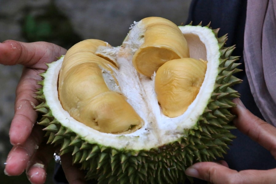 Le durian : les Indonésiens en raffolent !