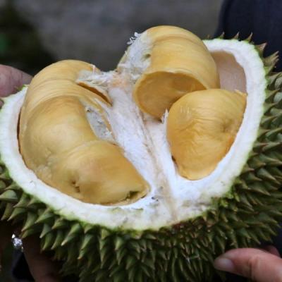 Durian 1493310 1280 min