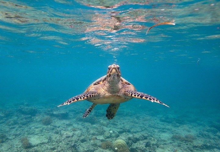 Ile Gili et son snorkeling