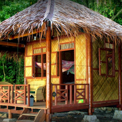 Rimba ecolodge recherche google