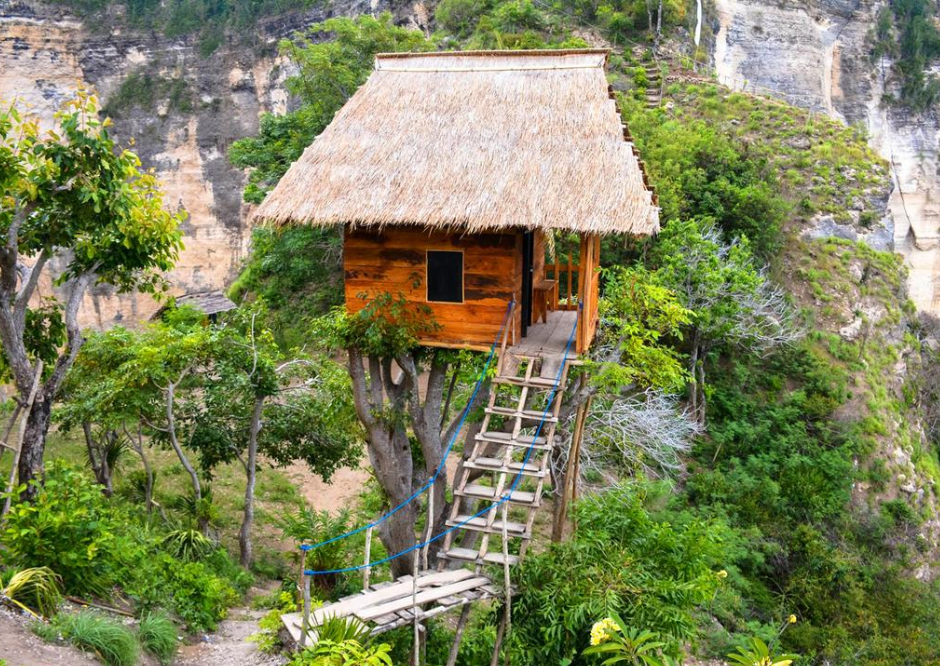 Rumah pohon tree house