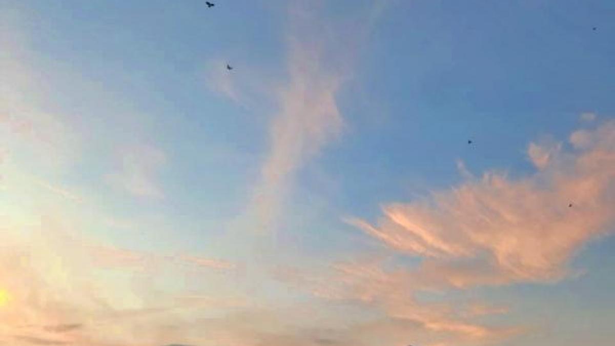 Les cerfs volants à Bali : des messagers